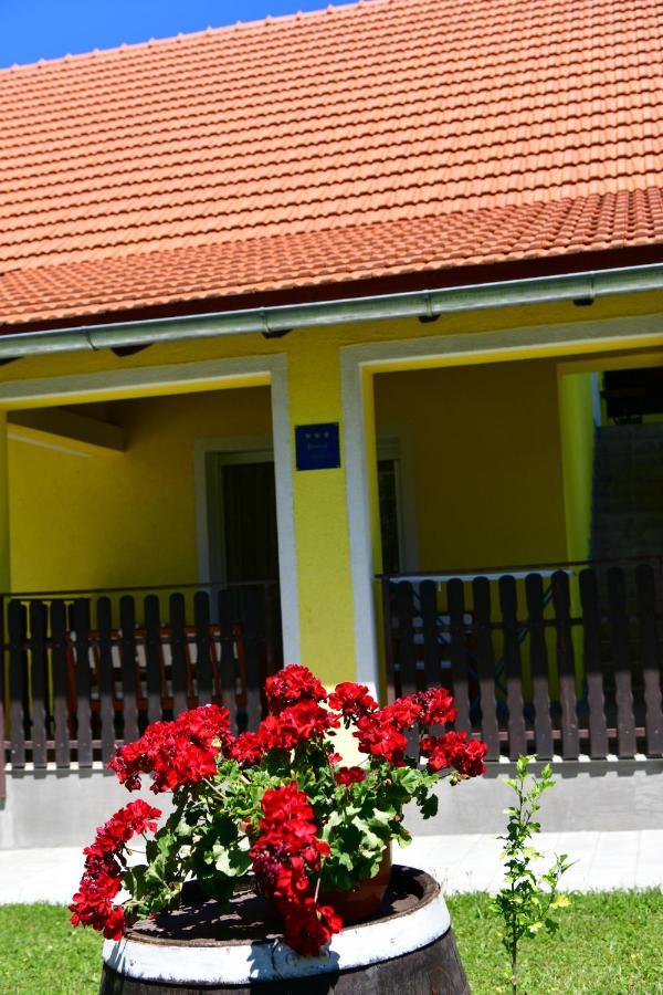 Apartman Vito Saborsko Exterior foto